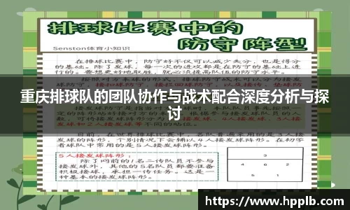 重庆排球队的团队协作与战术配合深度分析与探讨