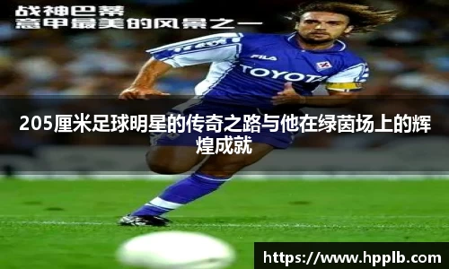 bsports官网入口